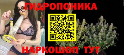 спайс Пугачёв